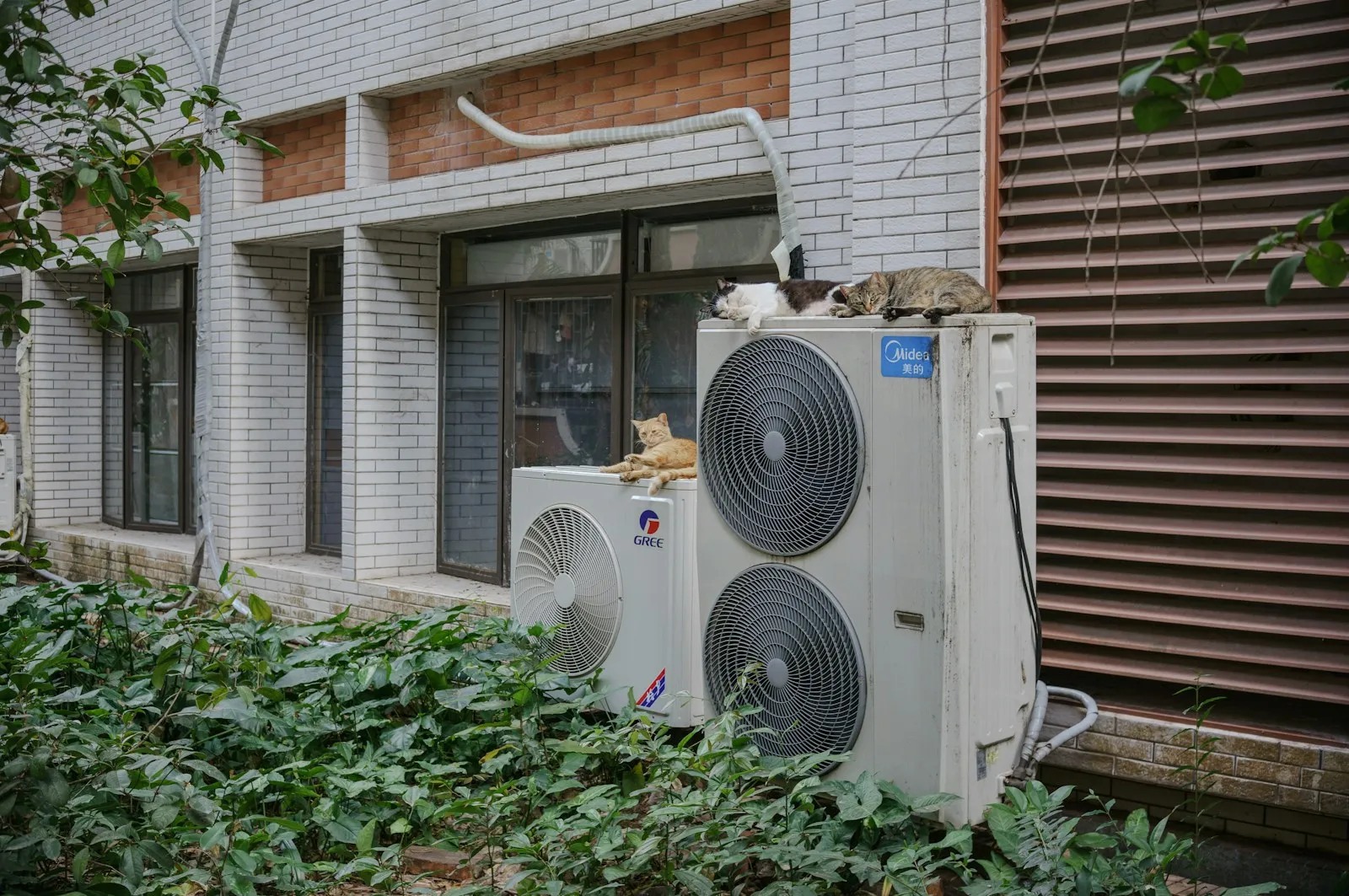 Warmtepomp COP Praktijk: Wat Halen Nederlandse Huizen?